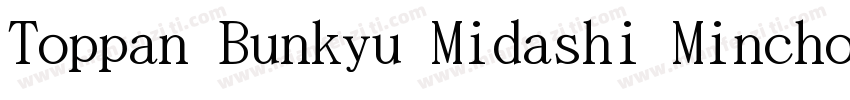 Toppan Bunkyu Midashi Mincho Extrab字体转换